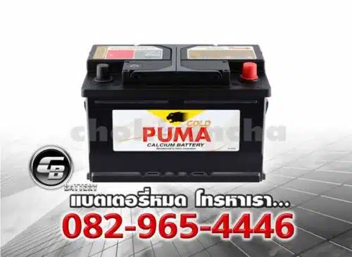 Puma แบตเตอรี่ DIN75 57539 SMF LBN3 Bv