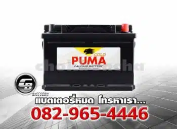 Puma แบตเตอรี่ DIN75 57539 SMF LBN3 Front