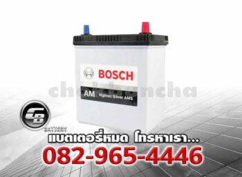 Bosch Battery AM 55B19L Hightec Silver AMS Price