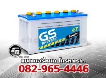 GS Battery N100 95E41 CV Price