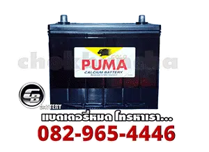 ราคาแบตเตอรี่แห้ง-Puma-Battery-SMF