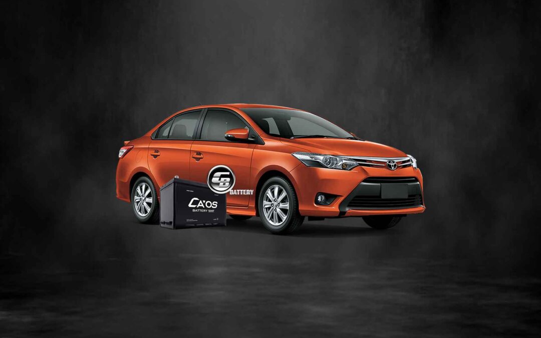 CAOS Battery for All New VIOS